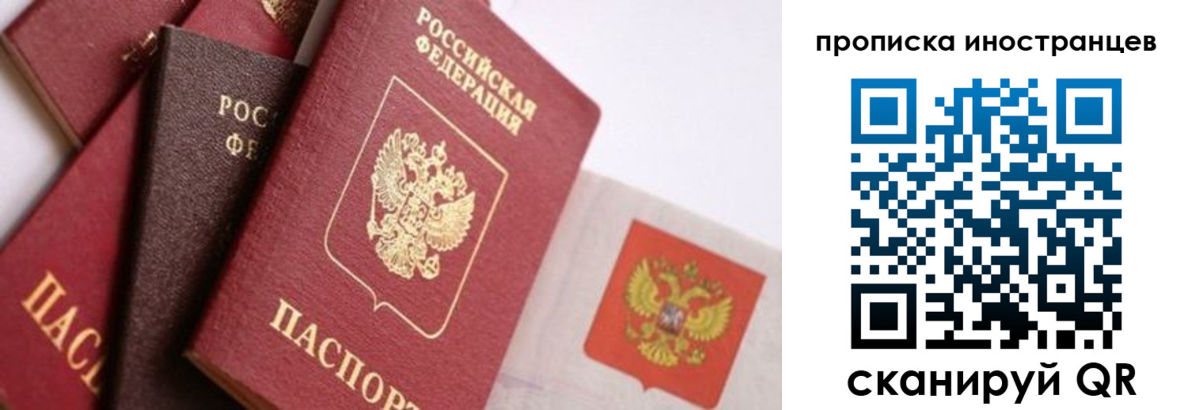 регистрация для школы в Звенигово